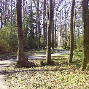 Osgood Canal Greenway and Urban Trail